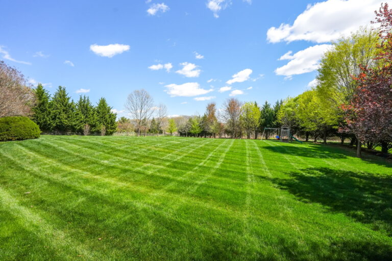 Buy Land in Northern Virginia: The 2025 Land Buyer’s Guide