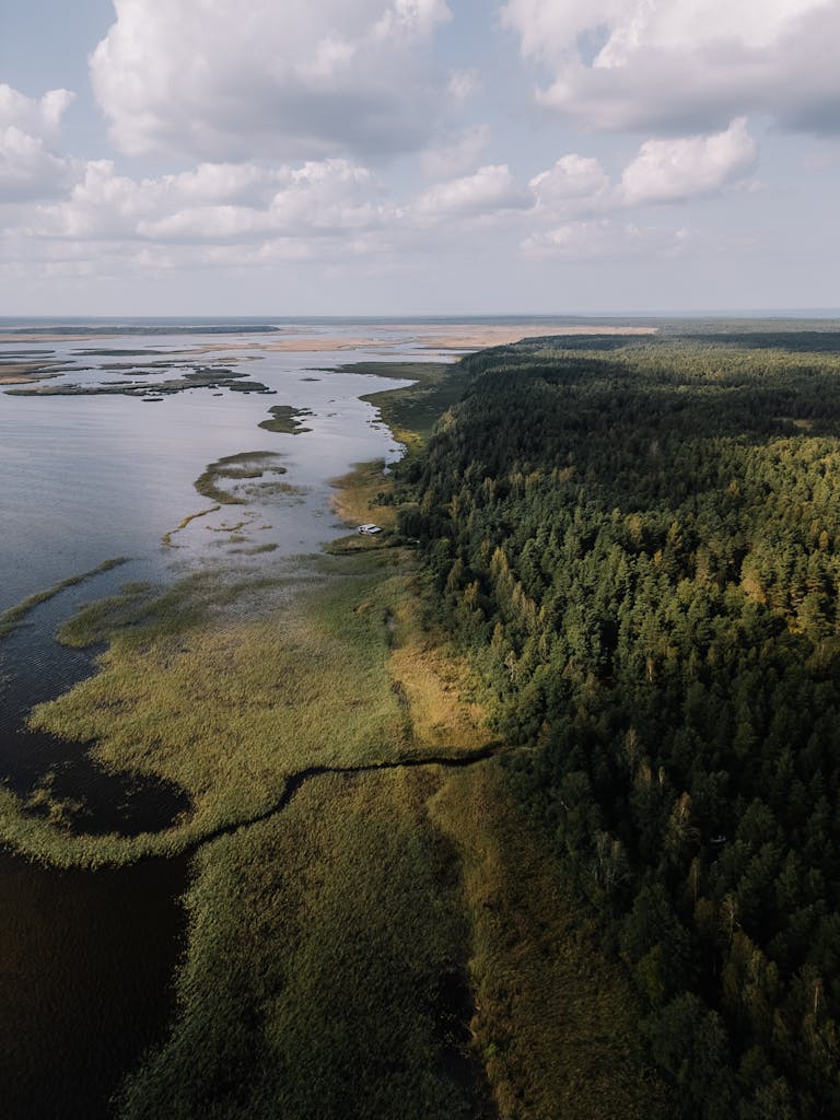 A serene aerial view showcasing the lush forest meeting the tranquil waters under a cloudy sky.