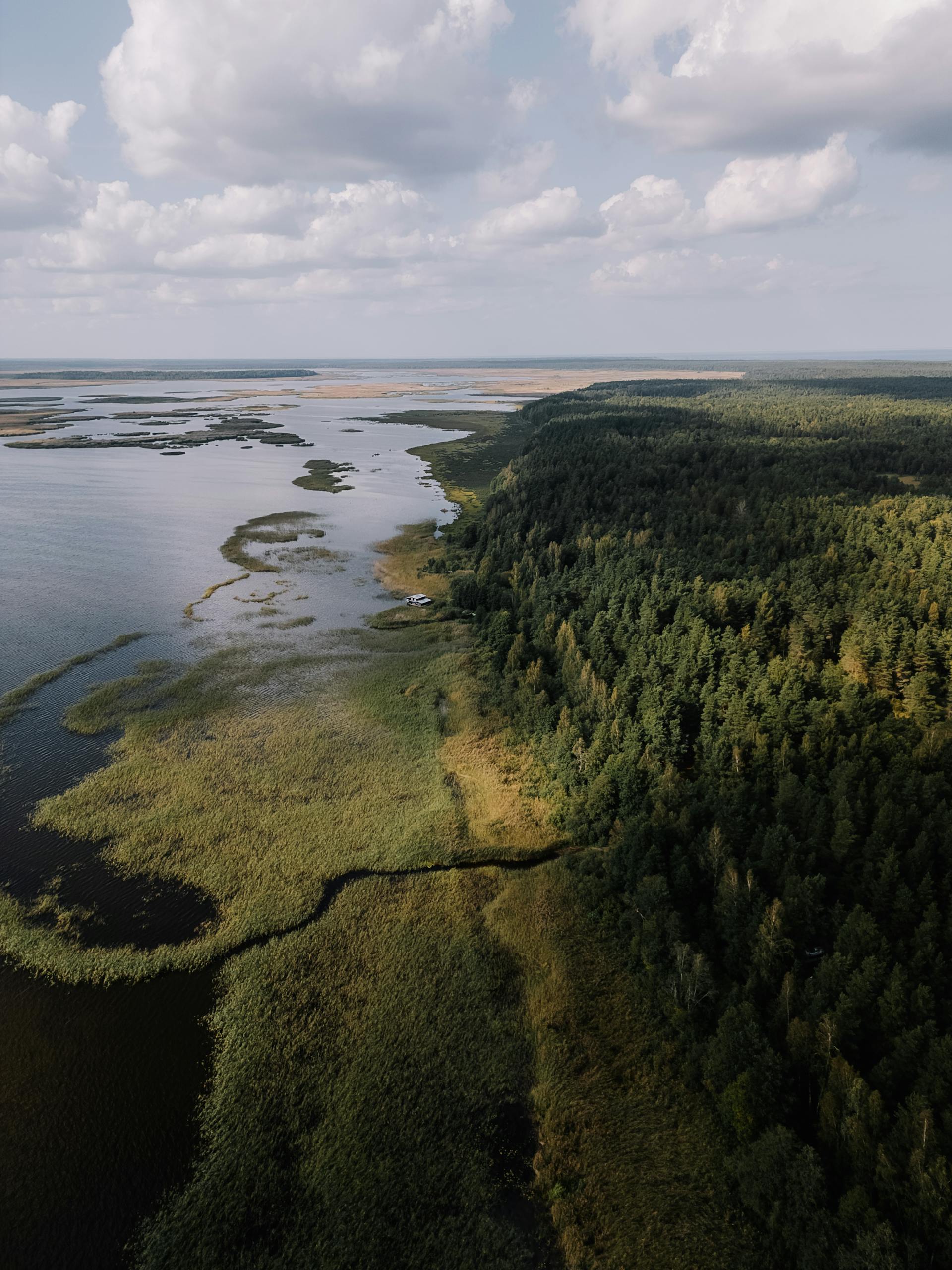 A serene aerial view showcasing the lush forest meeting the tranquil waters under a cloudy sky.